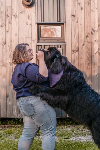 Hébergement AbracadaRoom : « Morvand'Ailes » - Cocon vitré immersif en Morvan - Image 30