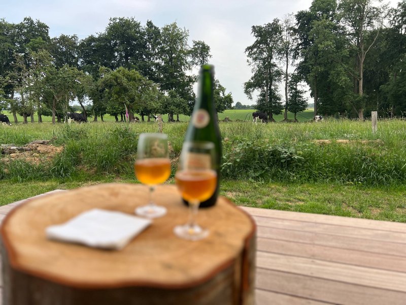 Domaine AbracadaRoom : Le Vert d'Orezza - Image 2