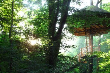 Cabane Amazonie à Magné (1)