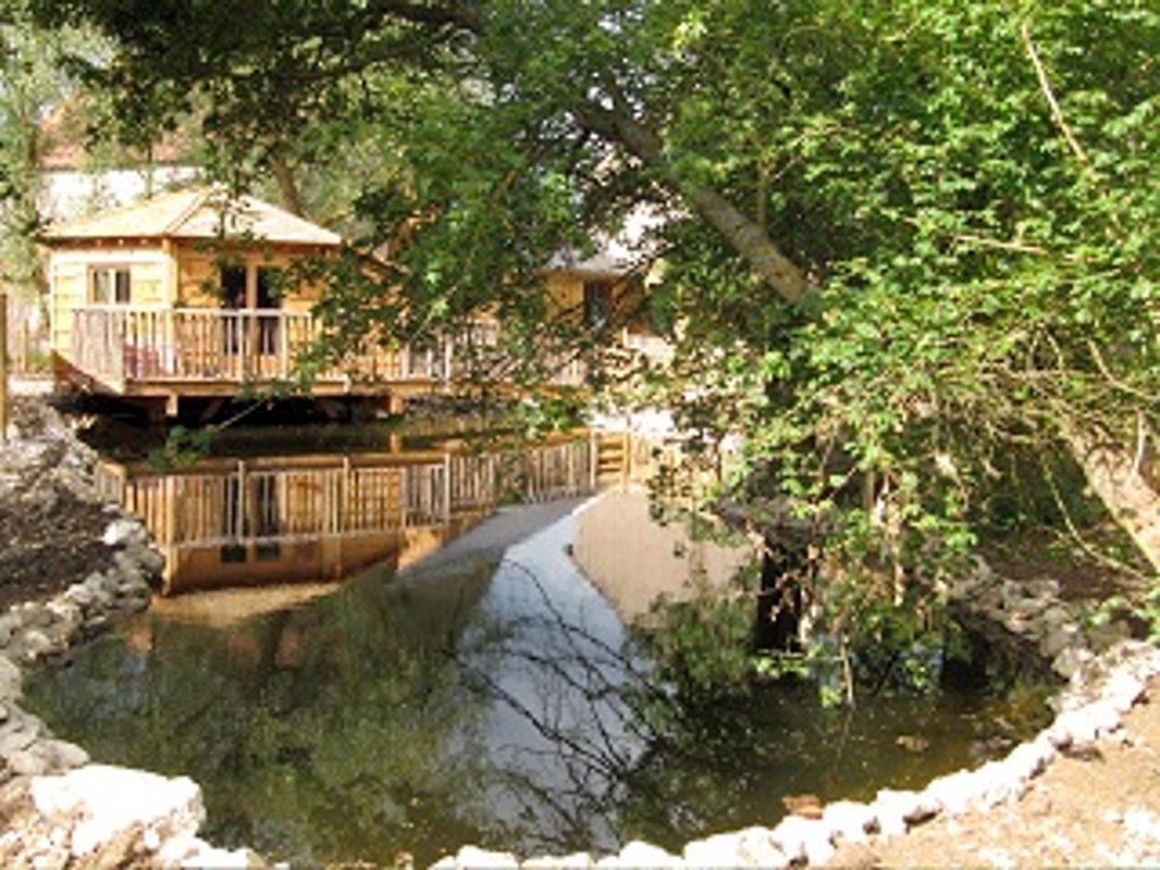 Cabane sur l'eau Libellule à Batilly-En-Puisaye (2)