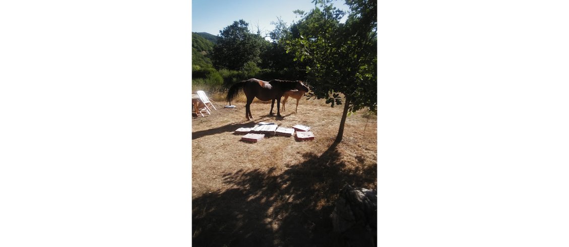 Hébergement AbracadaRoom : Chalet "Instant Spa" - Image 20