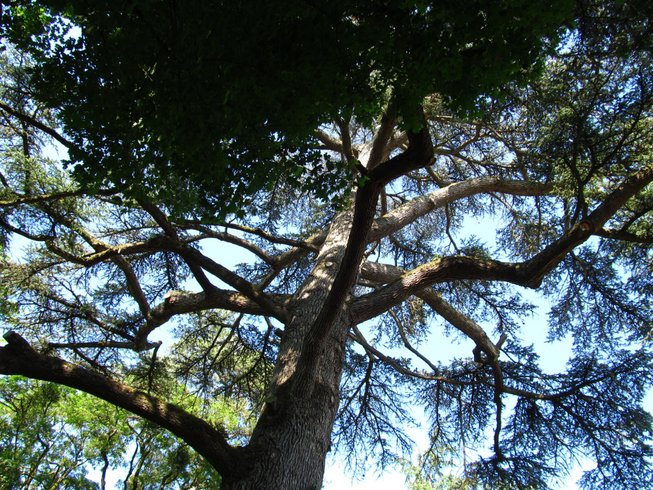 Domaine AbracadaRoom : Cabanes de la Belle - Image 16