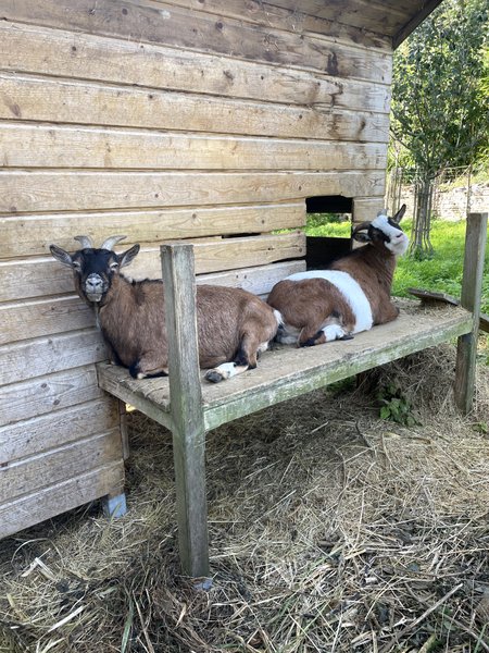 Hébergement AbracadaRoom : La Cabane du Mas Normand - Image 19