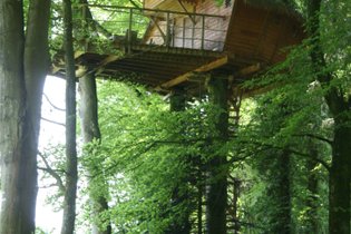 Cabane dans les arbres Ille-et-Vilaine