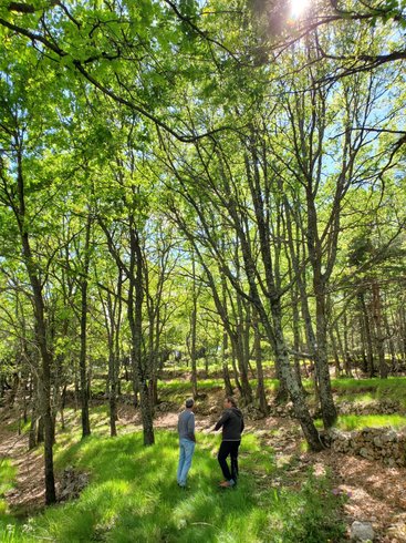 Domaine AbracadaRoom : Retour aux Sources - Image 13