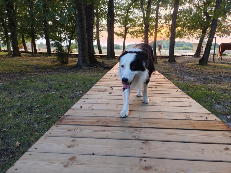 Hébergement AbracadaRoom : Panorama ROOFTOP & SPA - Image 27