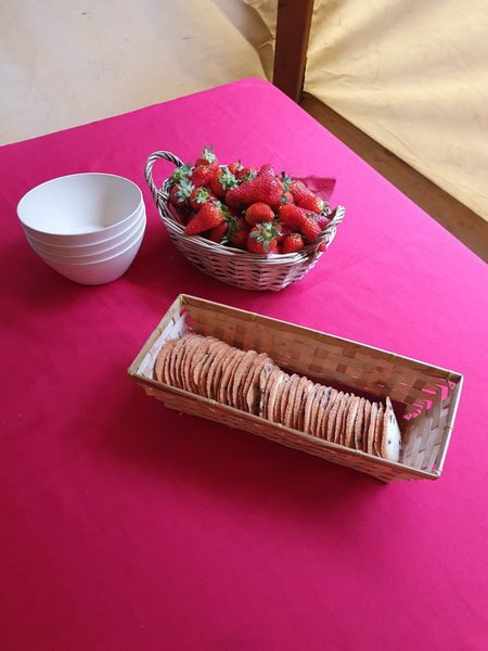 Domaine AbracadaRoom : Dôme Nature Bernex - Image 8