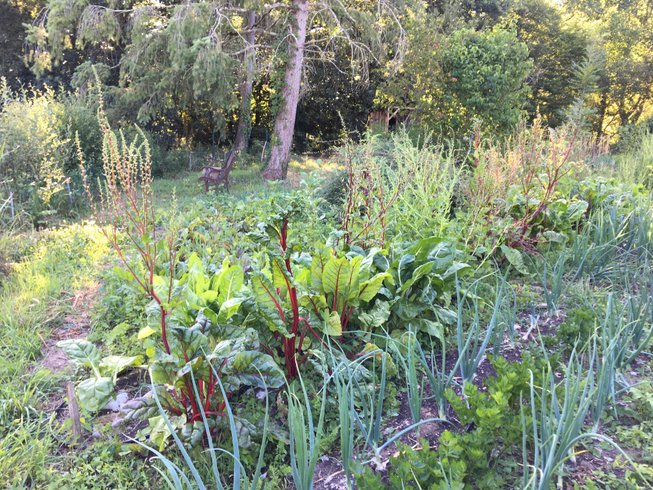 Domaine AbracadaRoom : O z'insolites - Image 7