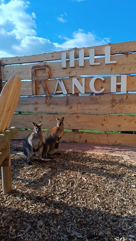 Hébergement AbracadaRoom : Expérience unique et insolite : Far West & Wallaby - Image 13