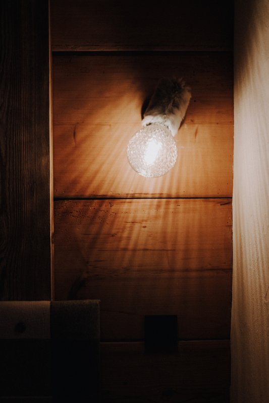 Chalet Rustika à Chatel (27)