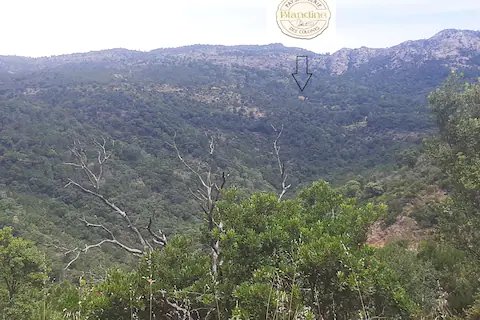 Domaine AbracadaRoom : La ferme Blandine agriculture biologique - Image 21