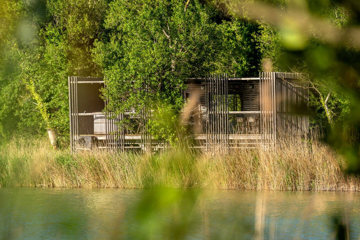 Cabane Spa Bohème à Sorgues (2)
