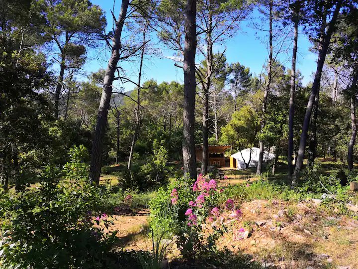 Domaine AbracadaRoom : YOURTE EN PROVENCE - Image 3