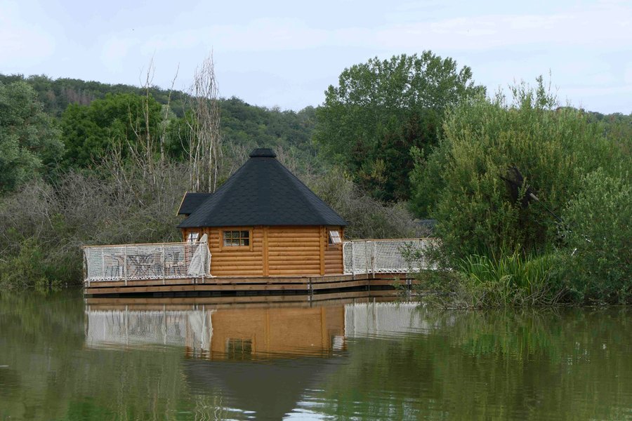 Le Kota Convivial — photo 2