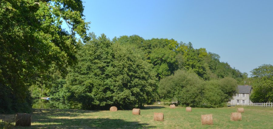 Domaine AbracadaRoom : Domaine des Vaulx - Image 8