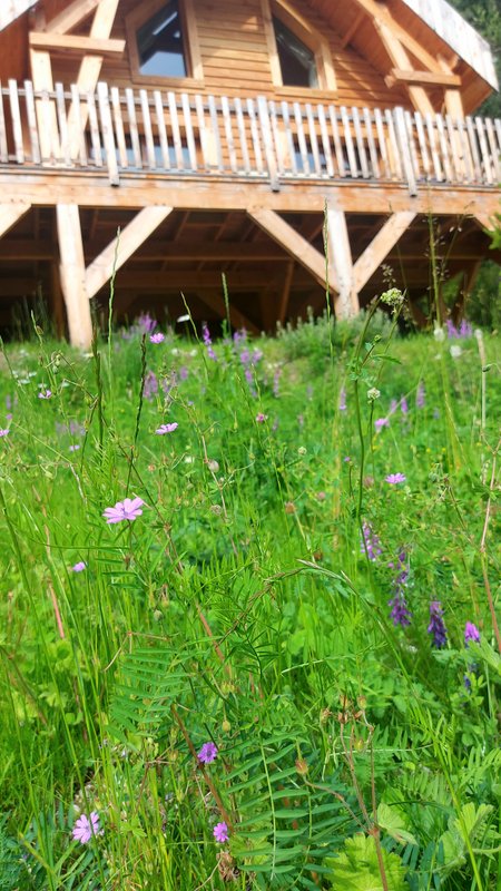 Chalet l'Empreinte à Saint Etienne De Tinée (23)