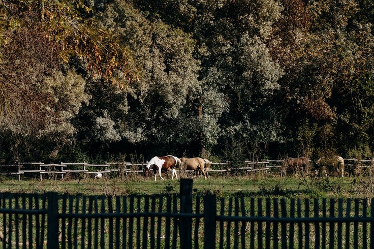 Domaine AbracadaRoom : Domaine de Biar - Image 6