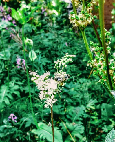 Hébergement AbracadaRoom : Tente Dent d'Oche - Image 5