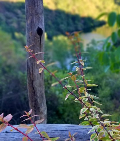 Hébergement AbracadaRoom : Sweet Dream & spa avec vue rivière - Image 26