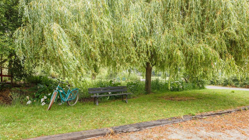 Domaine AbracadaRoom : Seasonova Camping Saint Michel - Image 57