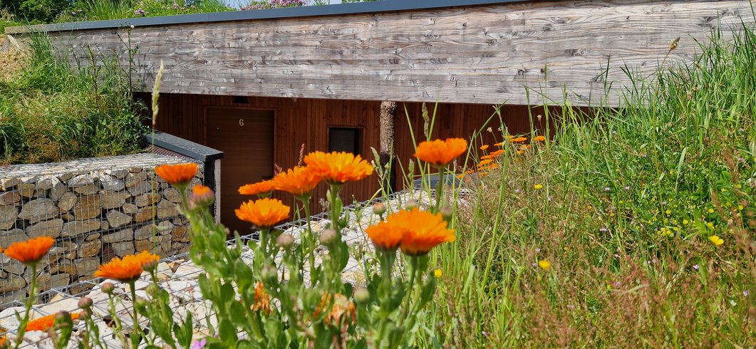 Hébergement AbracadaRoom : Ecolodge 6 - Éléments naturels - Image 1
