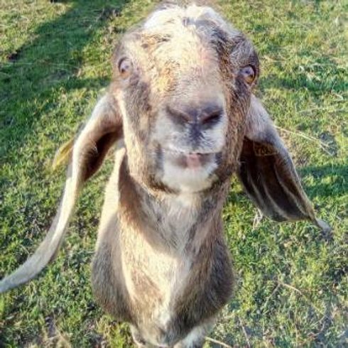 Domaine AbracadaRoom : Parenthèse Nuit - Image 3