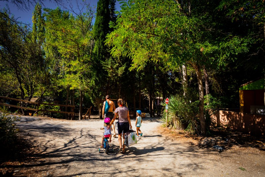 Domaine AbracadaRoom : Domaine La Peiriere - Image 8