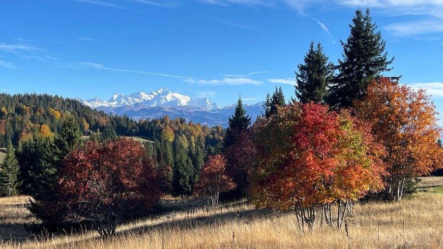 Domaine AbracadaRoom : Chalet d'alpage de Beauregard - Image 29