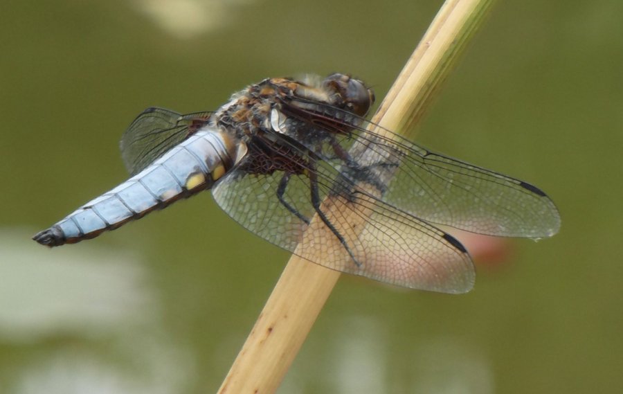 Domaine AbracadaRoom : Kaban'Etik - Image 16