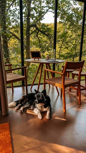 Domaine AbracadaRoom : Les Cabanes de Salagnac - Image 8