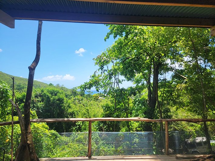 Domaine AbracadaRoom : Les cabanes entre les arbres de Lydie - Image 5