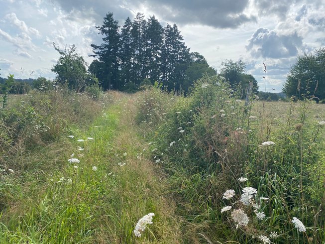 Hébergement AbracadaRoom : Roulotte 360°nature - Image 31