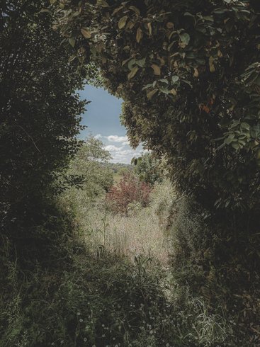 Domaine AbracadaRoom : Domaine Amaia - Image 27