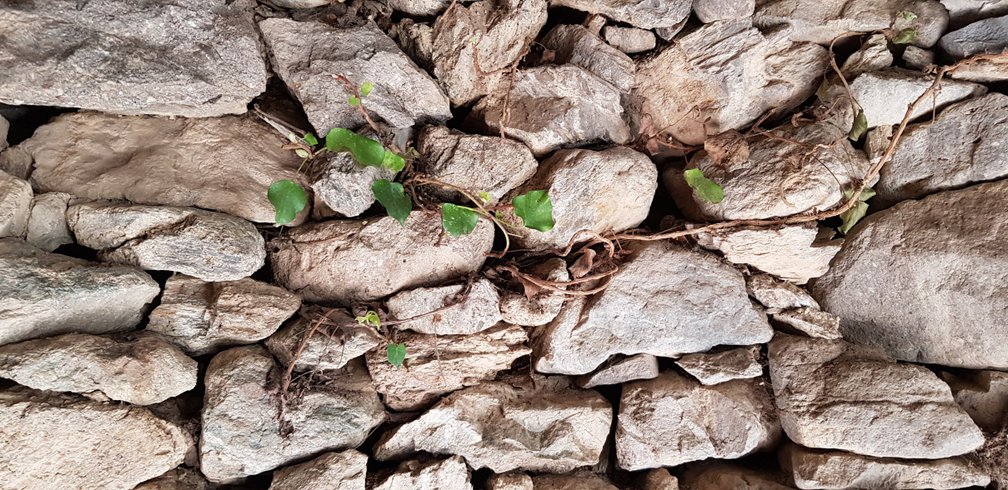 Hébergement AbracadaRoom : U Paliaghju - Image 9