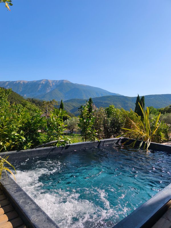 LODGE DES BARONNIES Piscine et spa à Plaisians (5)