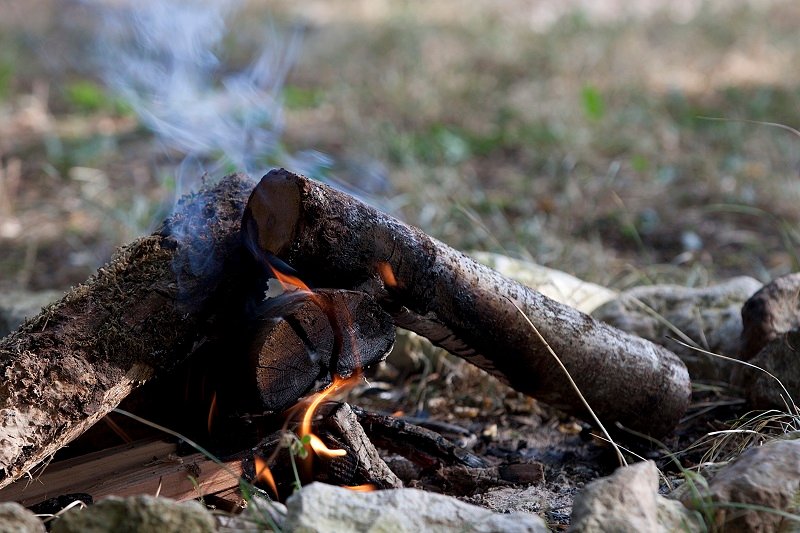 Hébergement AbracadaRoom : Safari Lodge - Image 3