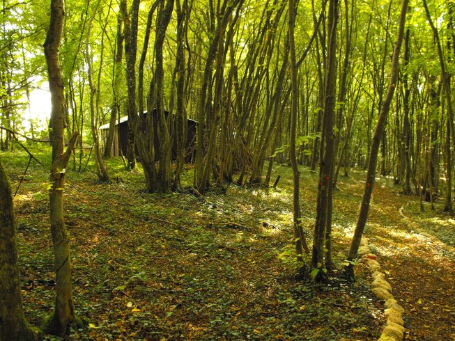 Hébergement AbracadaRoom : Lodge Un Lit au Pré n°1 - Domaine Saint Christophe - Image 1