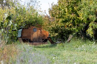 Le Tonneau du Nid'Oiselet - au coeur d'une ferme en Provence