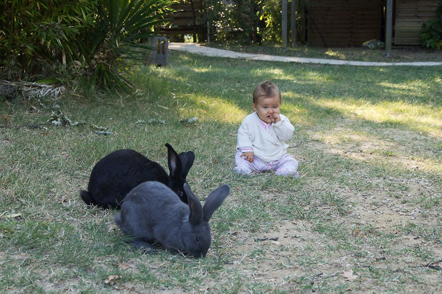 Domaine AbracadaRoom : NATURA LODGE - Image 9