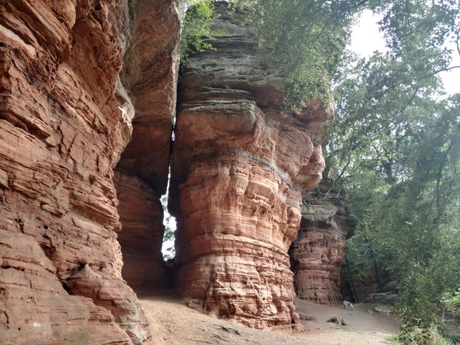 Domaine AbracadaRoom : L'échappée verte - Image 10