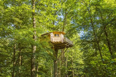 Cabane Secrète à Raray (4)