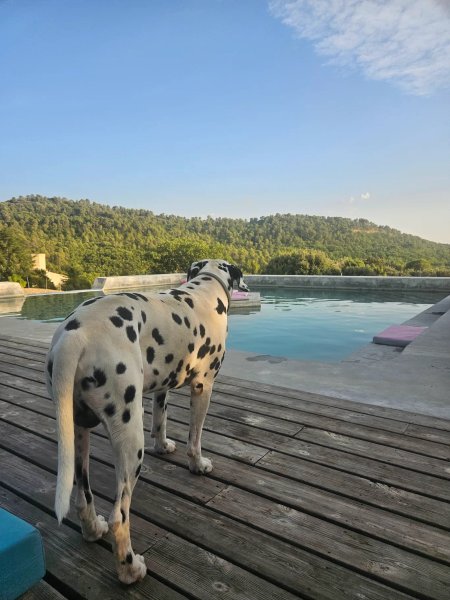 Domaine AbracadaRoom : Domaine Ferme Hi Bride - Image 10