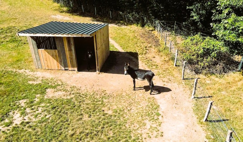 Hébergement AbracadaRoom : La Roulotte des Clartés - Image 22