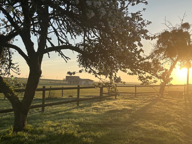 Domaine AbracadaRoom : Ecurie des prés hauts - Image 1