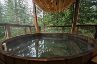Cabane dans les arbres Vosges