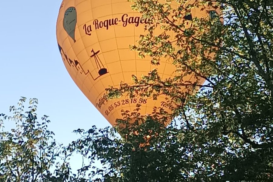 Lodge sur pilotis, étang privé, nature et biodiversité à Sarlat — photo 2