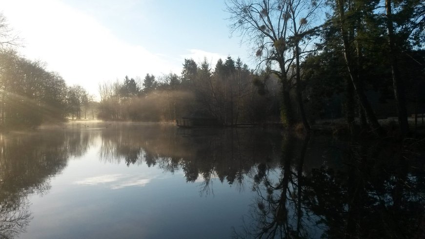 Hébergement AbracadaRoom : Cabane Familiale Contre-courant - Image 12