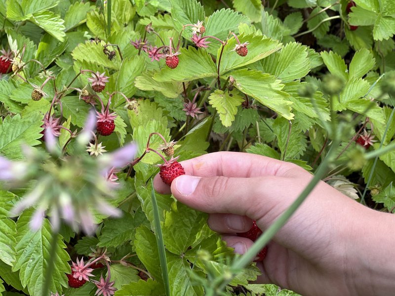 Domaine AbracadaRoom : Ô Saveur de l'instant - Image 7