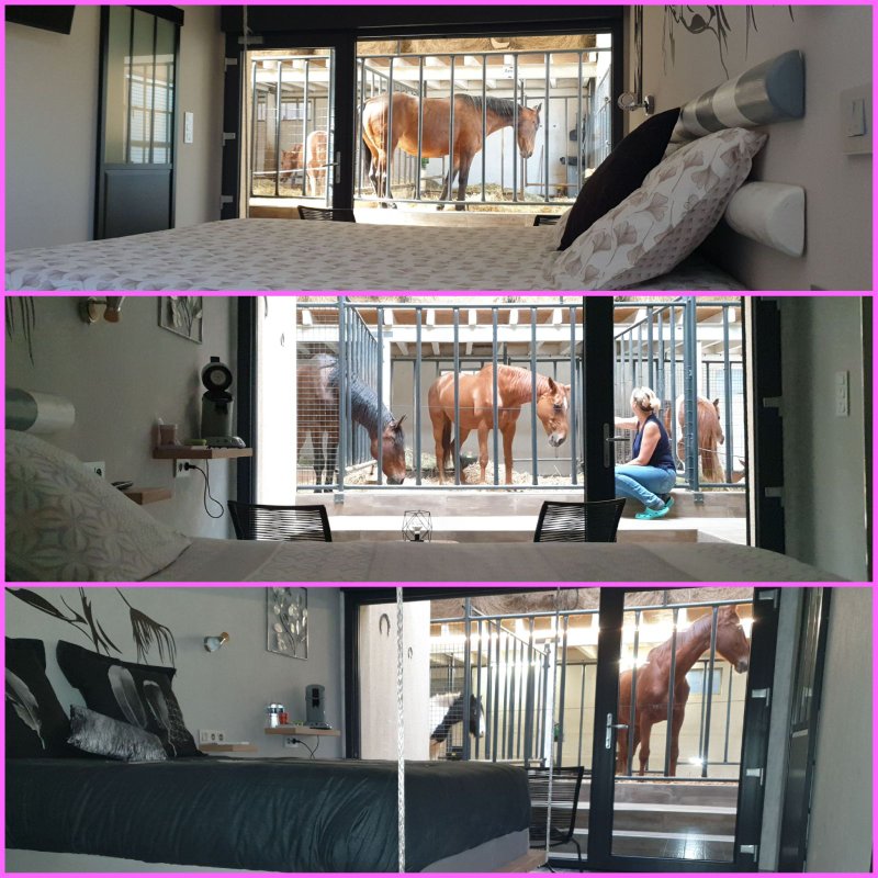 [2] Lodge 4 pers. terrasse avec  des chevaux à votre chevet à Fraisnes-En-Saintois (11)