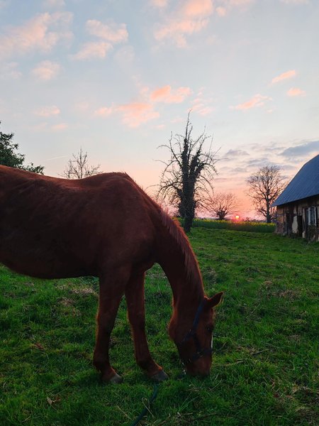 Domaine AbracadaRoom : Le Ranch Normand - Image 11
